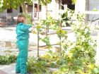Prácticas de los alumnos del Curso de Jardinería y Espacios Verdes (octubre 2009)
