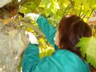 Prácticas de los alumnos del Curso de Jardinería y Espacios Verdes (octubre 2009)