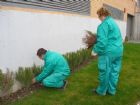 Prácticas de los alumnos del Curso de Jardinería y Espacios Verdes (octubre 2009)