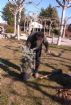 Prácticas de los alumnos del Curso de Jardinería y Espacios Verdes (octubre 2009)