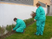 Prácticas de los alumnos del Curso de Jardinería y Espacios Verdes (octubre 2009)