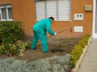Prácticas de los alumnos del Curso de Jardinería y Espacios Verdes (octubre 2009)